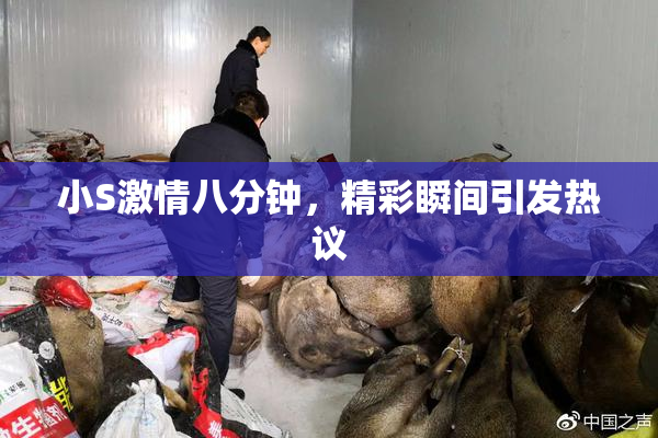 小S激情八分钟，精彩瞬间引发热议