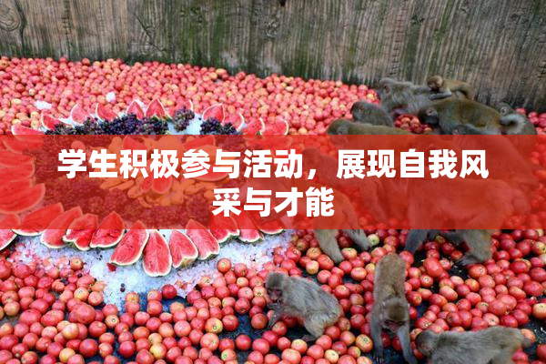 学生积极参与活动，展现自我风采与才能
