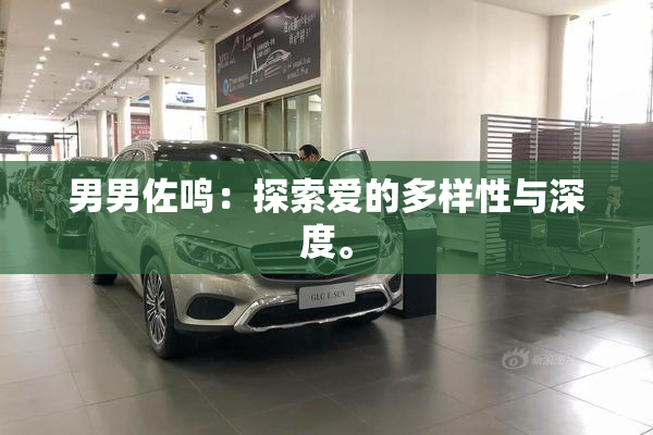 男男佐鸣：探索爱的多样性与深度。