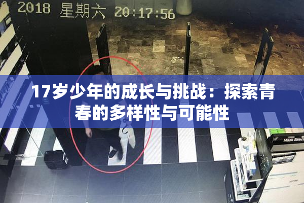 17岁少年的成长与挑战：探索青春的多样性与可能性