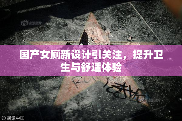 国产女厕新设计引关注，提升卫生与舒适体验