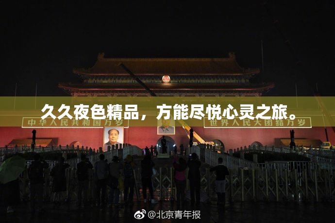 久久夜色精品，方能尽悦心灵之旅。