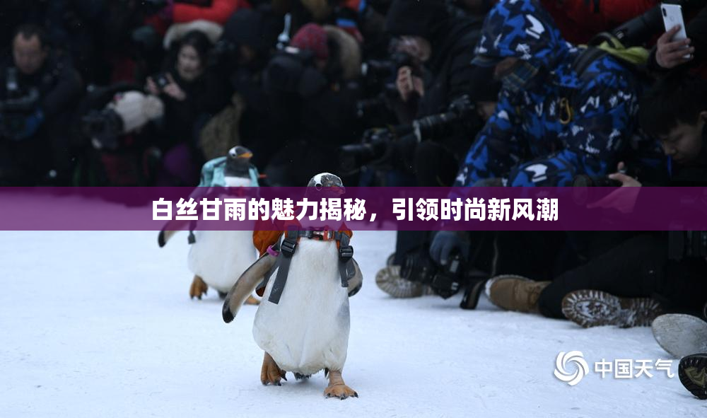 白丝甘雨的魅力揭秘，引领时尚新风潮