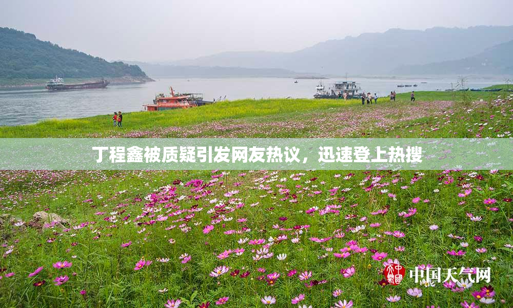 丁程鑫被质疑引发网友热议，迅速登上热搜