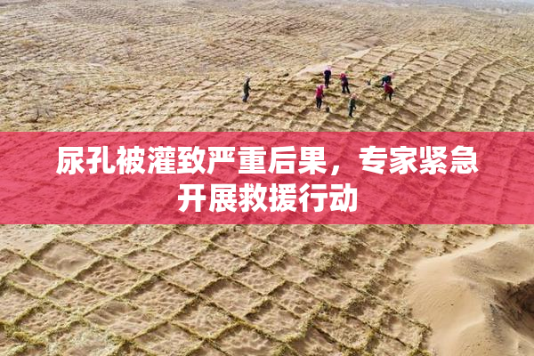 尿孔被灌致严重后果，专家紧急开展救援行动