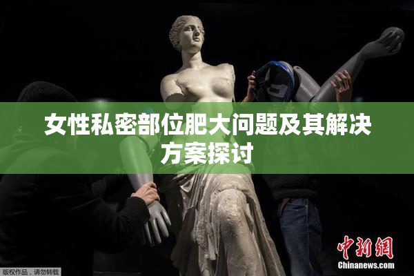 女性私密部位肥大问题及其解决方案探讨