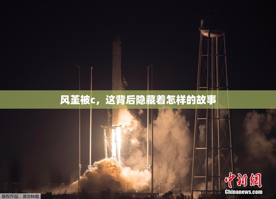 风堇被c，这背后隐藏着怎样的故事