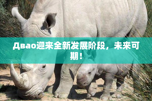 Двао迎来全新发展阶段，未来可期！
