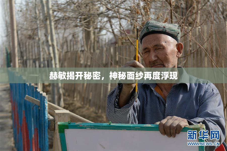 赫敏揭开秘密，神秘面纱再度浮现