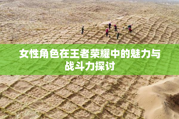 女性角色在王者荣耀中的魅力与战斗力探讨
