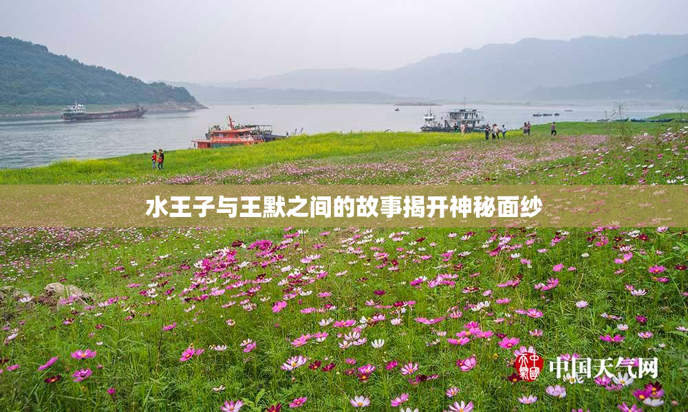 水王子与王默之间的故事揭开神秘面纱