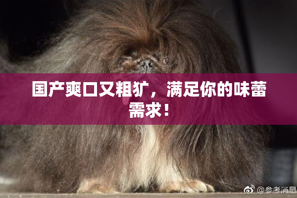 国产爽口又粗犷，满足你的味蕾需求！