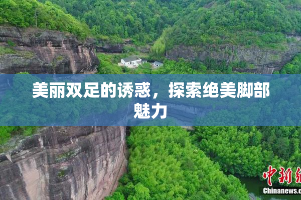 美丽双足的诱惑，探索绝美脚部魅力