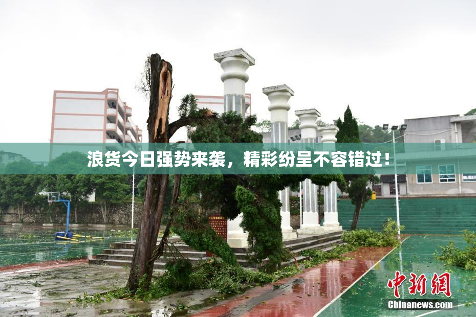 浪货今日强势来袭，精彩纷呈不容错过！