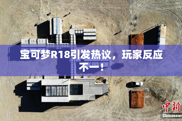 宝可梦R18引发热议，玩家反应不一！