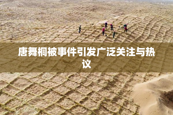 唐舞桐被事件引发广泛关注与热议