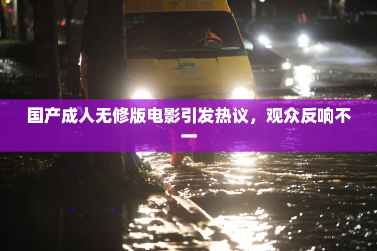 国产成人无修版电影引发热议，观众反响不一