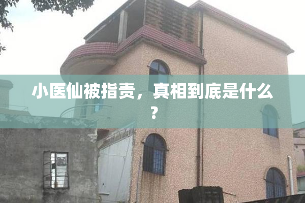 小医仙被指责，真相到底是什么？