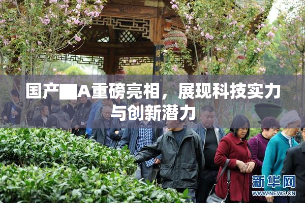 国产▇A重磅亮相，展现科技实力与创新潜力