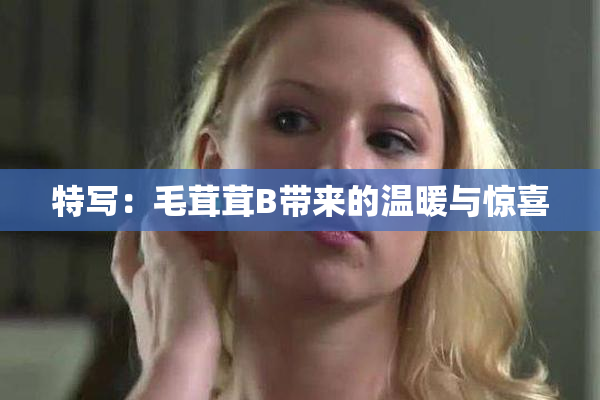 特写：毛茸茸B带来的温暖与惊喜
