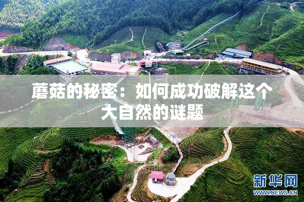 蘑菇的秘密：如何成功破解这个大自然的谜题
