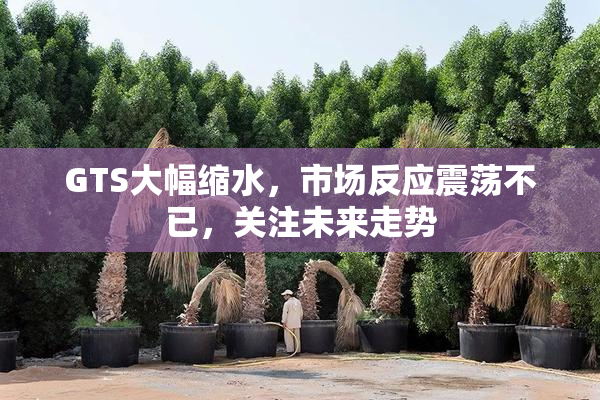 GTS大幅缩水，市场反应震荡不已，关注未来走势
