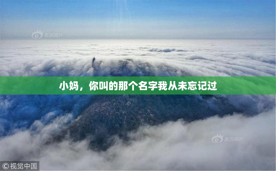 小妈，你叫的那个名字我从未忘记过
