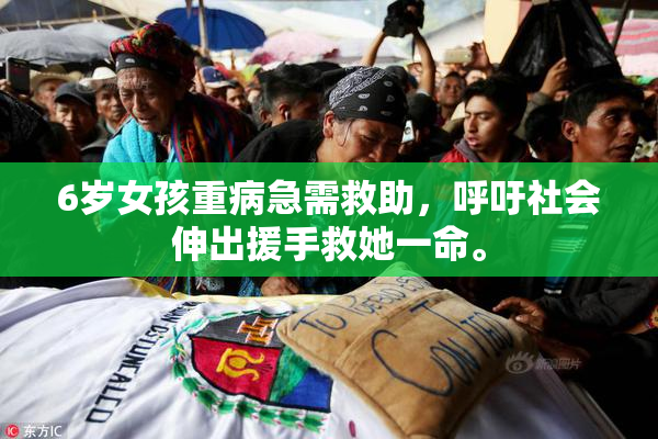 6岁女孩重病急需救助，呼吁社会伸出援手救她一命。