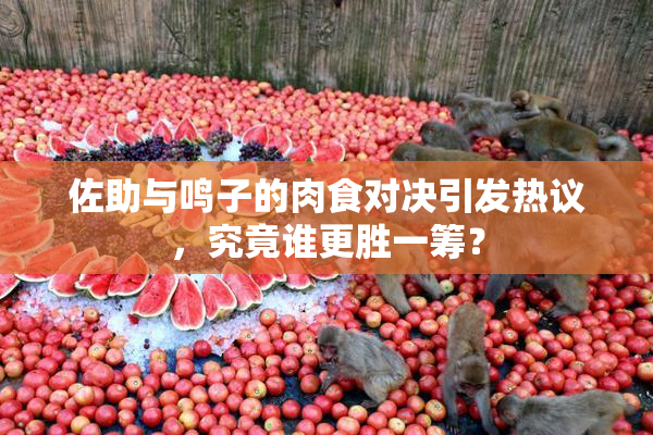 佐助与鸣子的肉食对决引发热议，究竟谁更胜一筹？