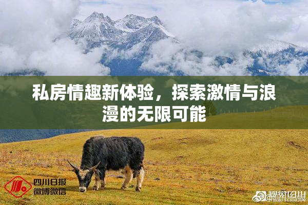 私房情趣新体验，探索激情与浪漫的无限可能