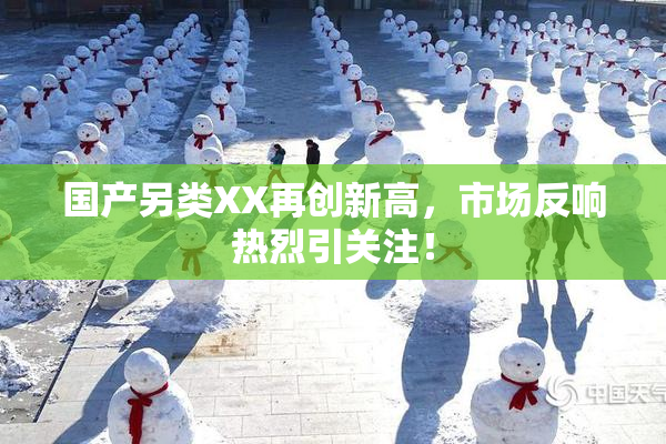 国产另类XX再创新高，市场反响热烈引关注！
