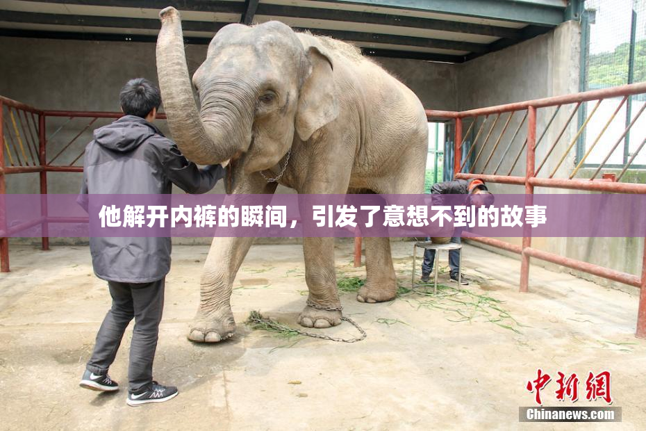 他解开内裤的瞬间，引发了意想不到的故事