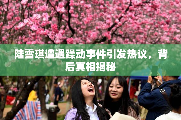陆雪琪遭遇躁动事件引发热议，背后真相揭秘