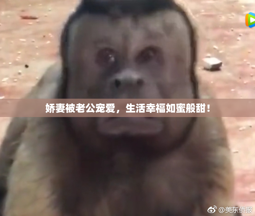 娇妻被老公宠爱，生活幸福如蜜般甜！