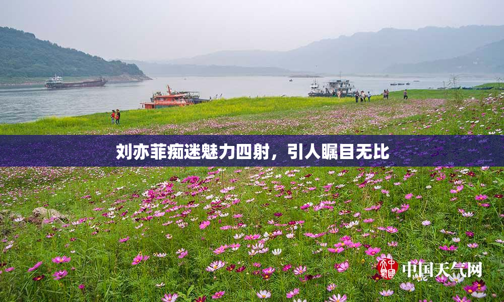 刘亦菲痴迷魅力四射，引人瞩目无比