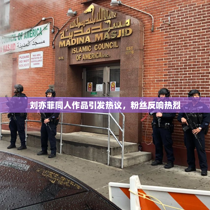 刘亦菲同人作品引发热议，粉丝反响热烈