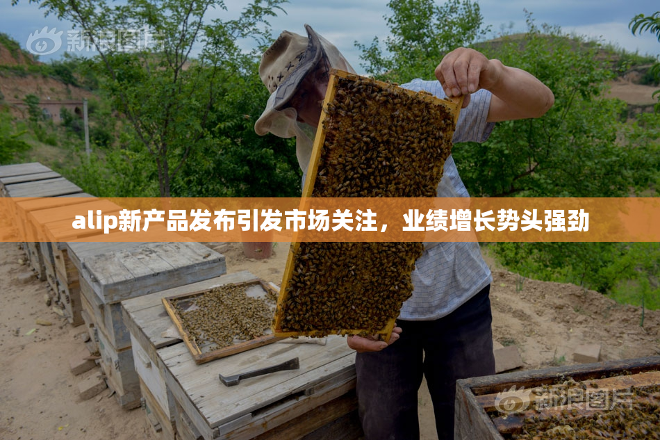 alip新产品发布引发市场关注，业绩增长势头强劲