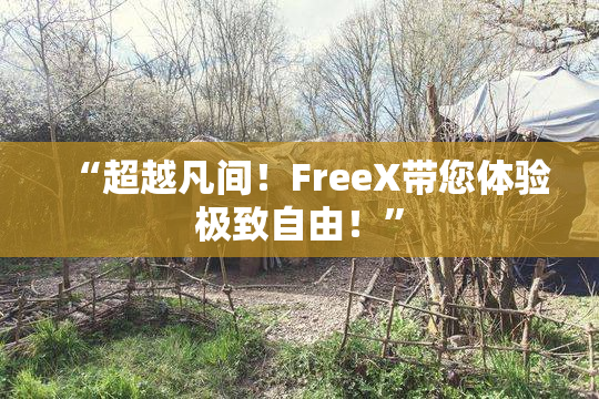 “超越凡间！FreeX带您体验极致自由！”