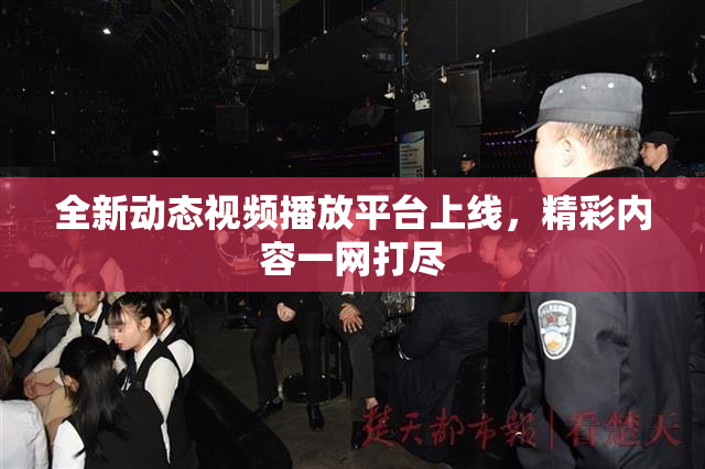 全新动态视频播放平台上线，精彩内容一网打尽