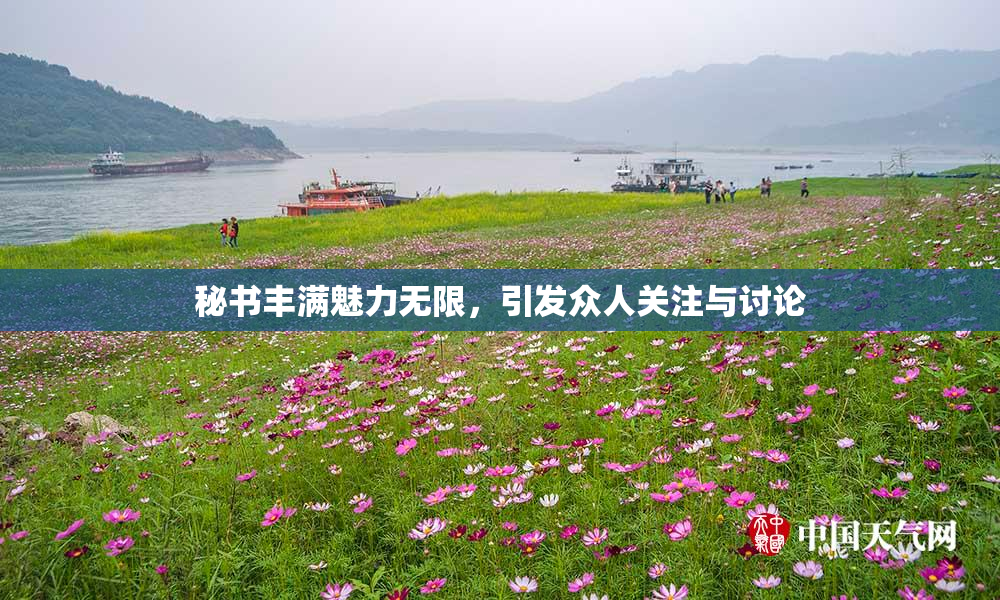 秘书丰满魅力无限，引发众人关注与讨论