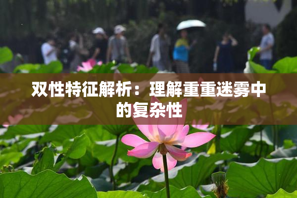 双性特征解析：理解重重迷雾中的复杂性