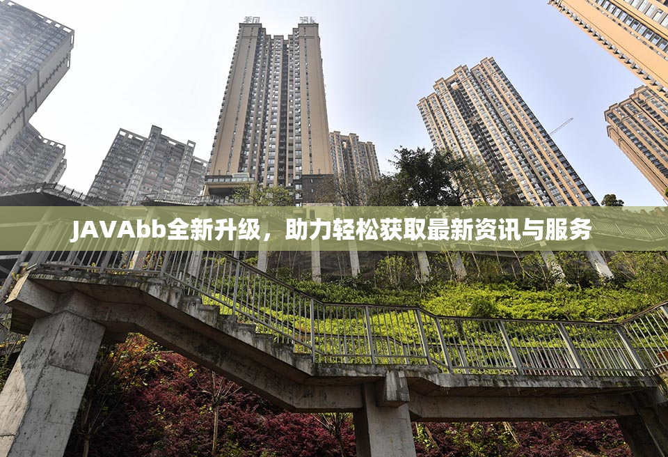 JAVAbb全新升级，助力轻松获取最新资讯与服务