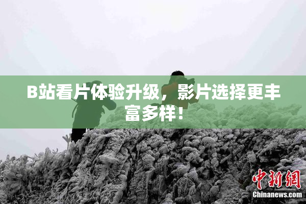 B站看片体验升级，影片选择更丰富多样！
