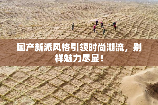 国产新派风格引领时尚潮流，别样魅力尽显！