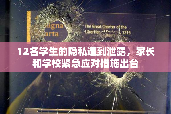 12名学生的隐私遭到泄露，家长和学校紧急应对措施出台