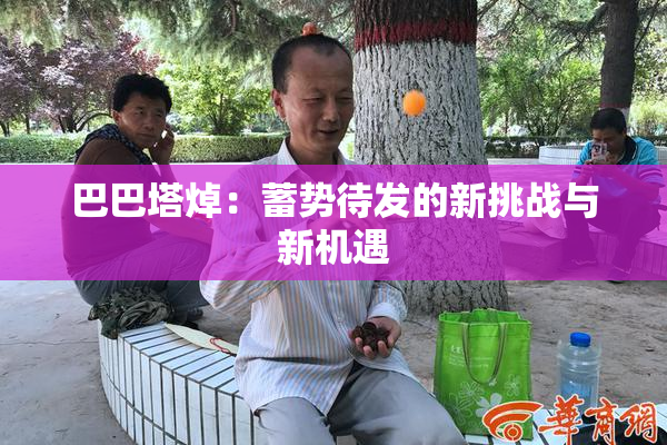巴巴塔焯：蓄势待发的新挑战与新机遇