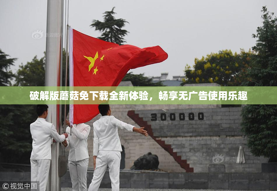 破解版蘑菇免下载全新体验，畅享无广告使用乐趣