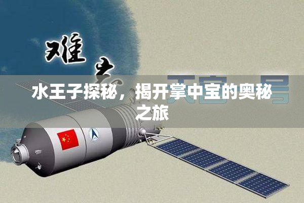 水王子探秘，揭开掌中宝的奥秘之旅