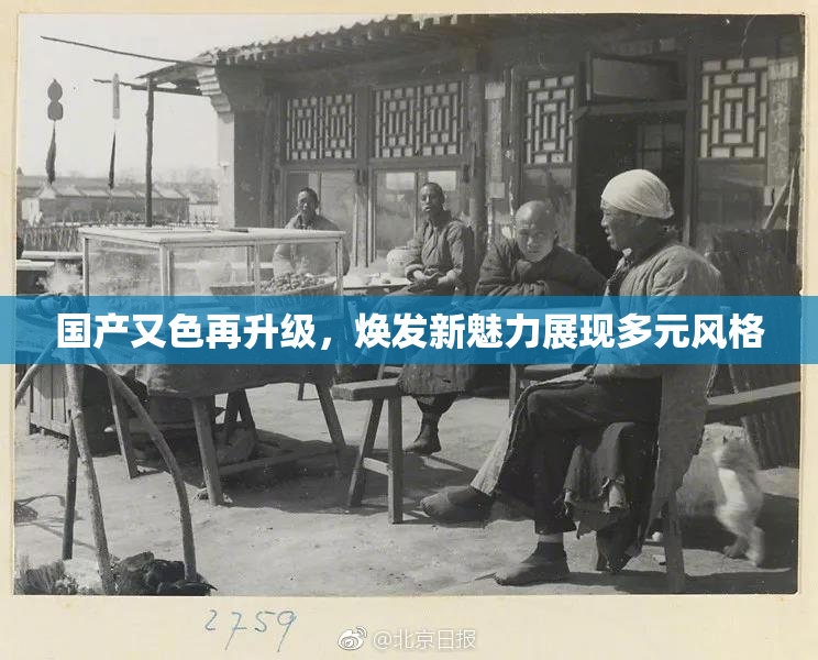 国产又色再升级，焕发新魅力展现多元风格