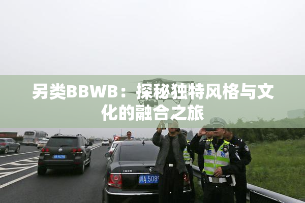 另类BBWB：探秘独特风格与文化的融合之旅